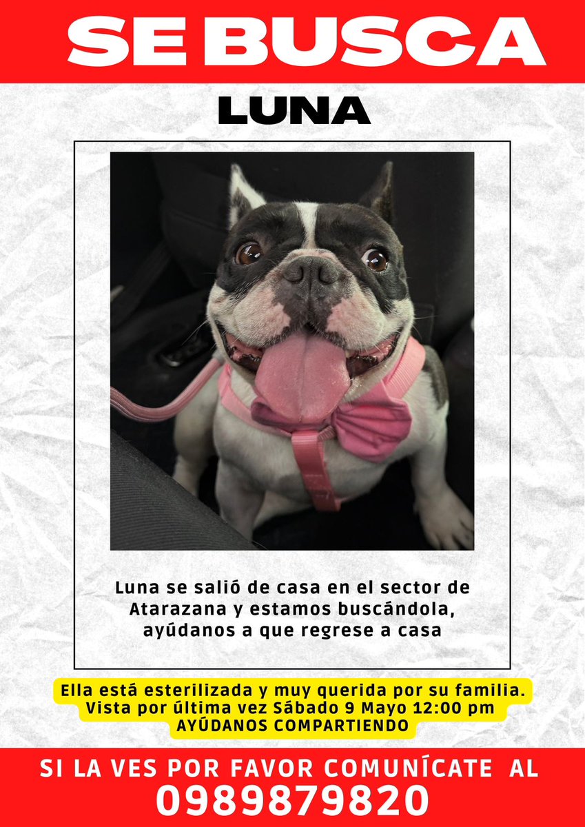 #PerritoPerdido
Ayuden a compartir por favor, gracias