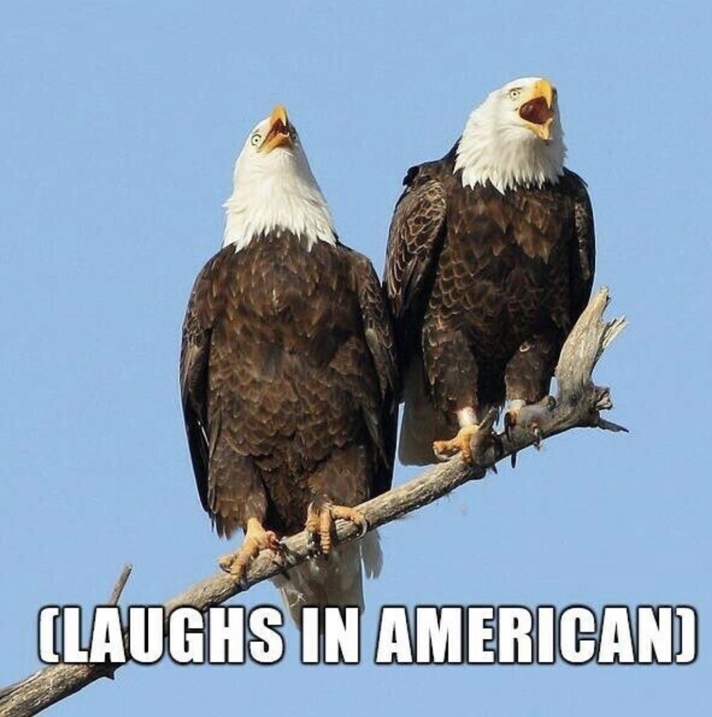 Addfren2's tweet photo. I’m an American.  Therefore, fuck both the Muslim’s and Israel!   We’re tired of your bullshit!   Fight it out!  It’s an ancient war that has no business in Western countries! https://t.co/ljCAJyTC0k