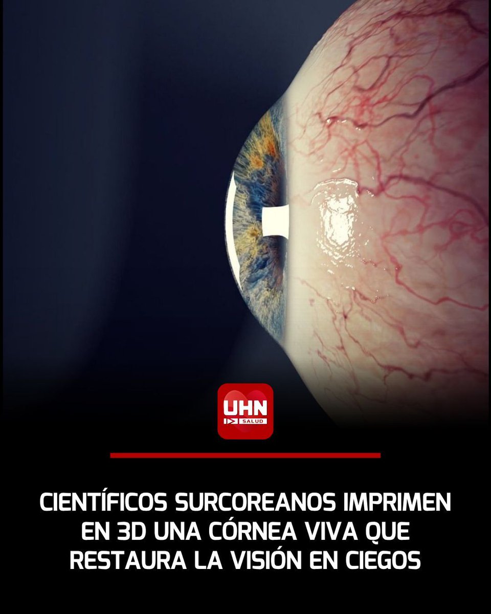 🇰🇷‼️| Científicos surcoreanos lograron imprimir en 3D con éxito una córnea viva capaz de restaurar la visión en pacientes ciegos, utilizando células del propio paciente para minimizar el riesgo de rechazo. Este avance representa un hito en la bioimpresión de tejidos oculares y