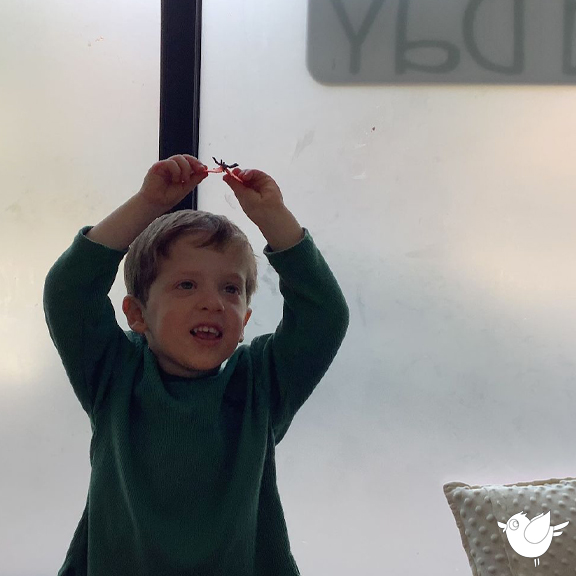 BBDProgram's tweet photo. We're exploring, playing, and building new skills together! 💙🐦 #bluebirddayprogram #learningthroughplay #chicago #kidsactivities #preschool #kindergarten #pediatrictherapy #therapyclinic #therapyprogram #chicagopediatrictherapy #chicagopreschool #chicagokindergarten https://t.co/9lEXu4Wg2S