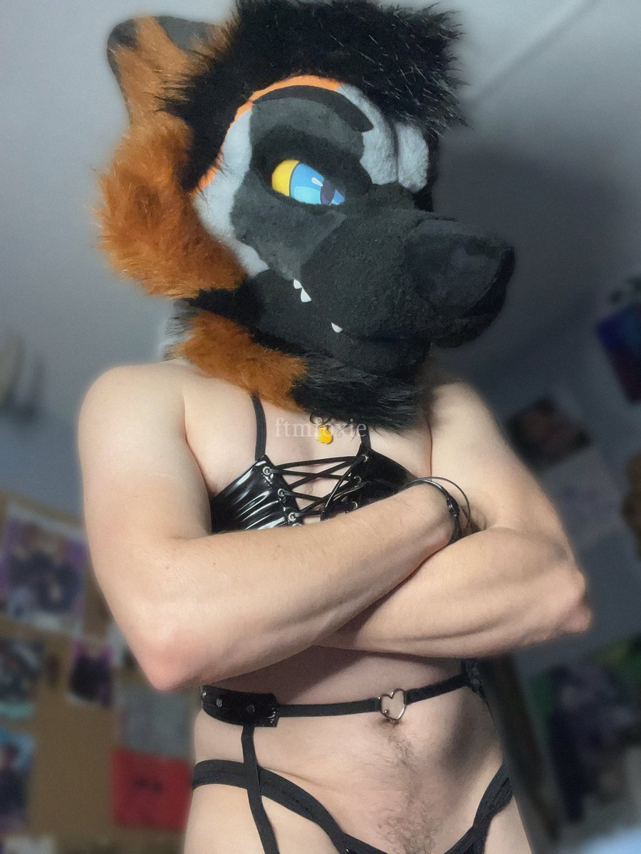 Foxie🐾CUSTOMS OPEN tweet media
