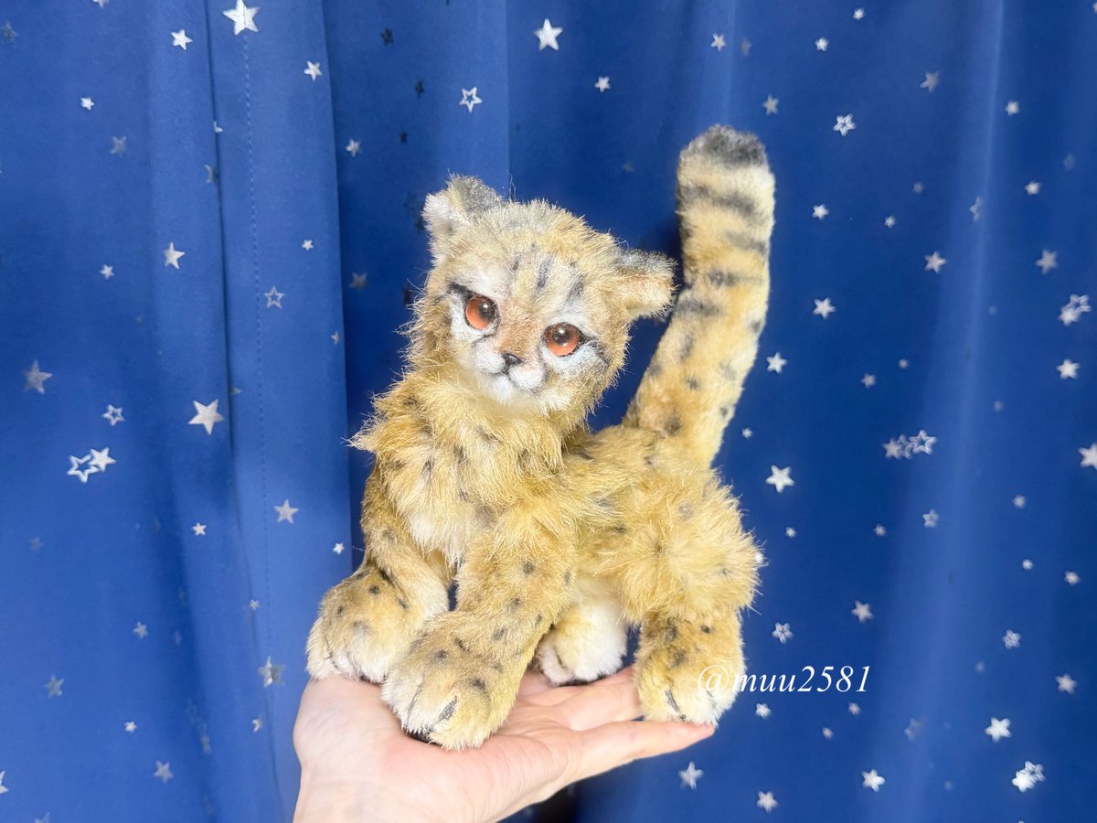 海外作家様作　アートドール　チーターの子供 アートドールって表情が変わるから面白いです☺️ チーター｢えっへん