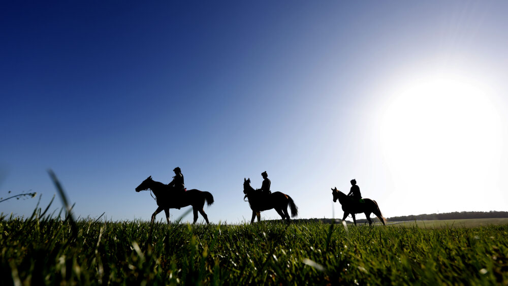 BHAHorseracing's tweet photo. ℹ️ See our updated guidance on equine influenza, including how to reduce risk of infection & spot the signs of the virus.

As well as making sure vaccinations are up to date, please be extra vigilant with biosecurity measures - particularly around any new horses entering your yard.

🔗 Full details here: https://t.co/sjVziXsjwZ