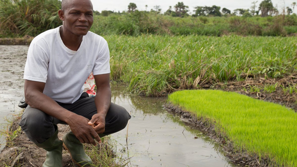 World Bank Group AgriFood tweet media