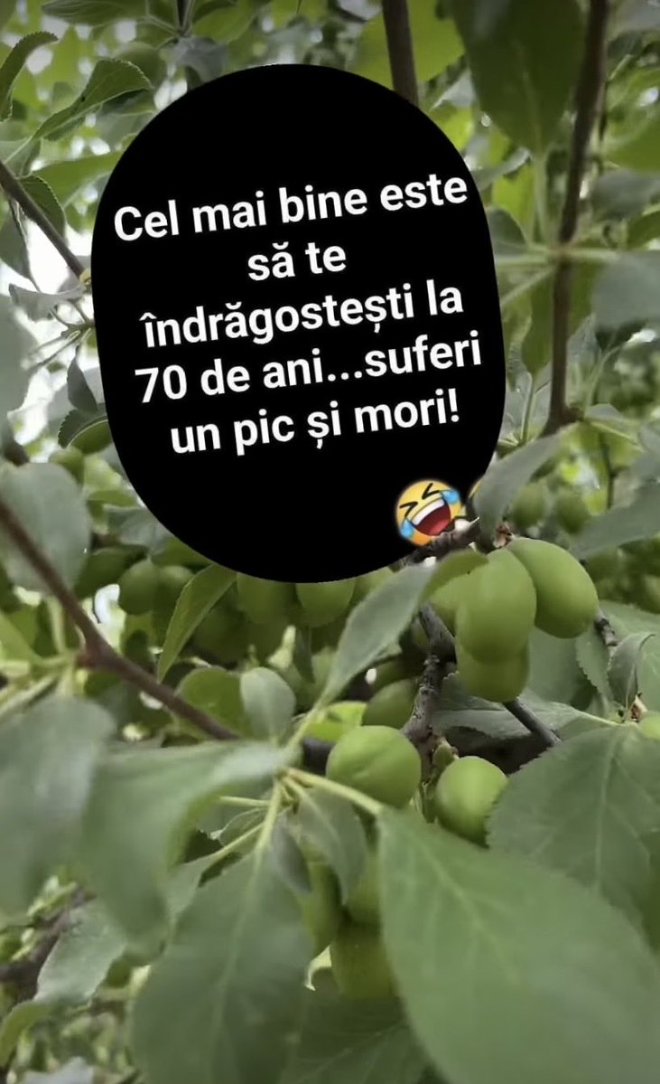 GABI ȘTEFURA tweet media
