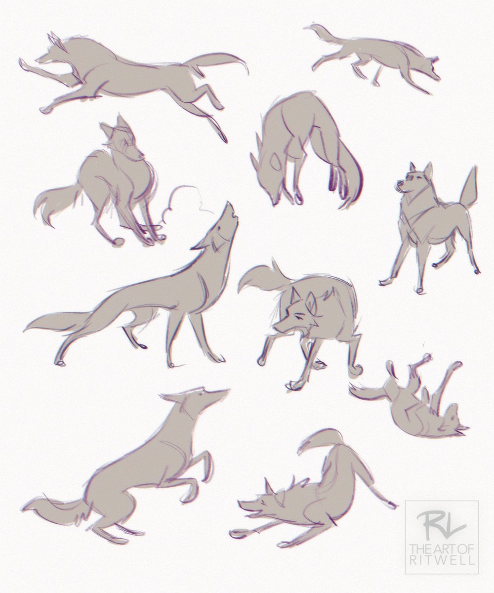 Ritwells tweet media