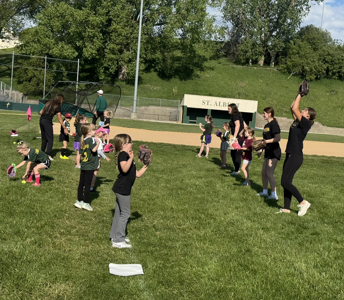 Saint Albert Saintes Softball tweet media