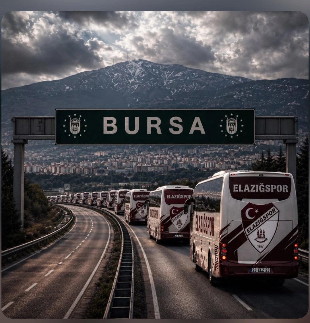 EFSO 🇹🇷🇵🇸🇹🇷🇵🇸 tweet media