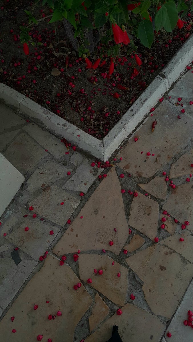 hudaskd's tweet photo. زاوية الحياة السعيدة🍃🌸
#قهوه_المساء https://t.co/MycNX6zzEe