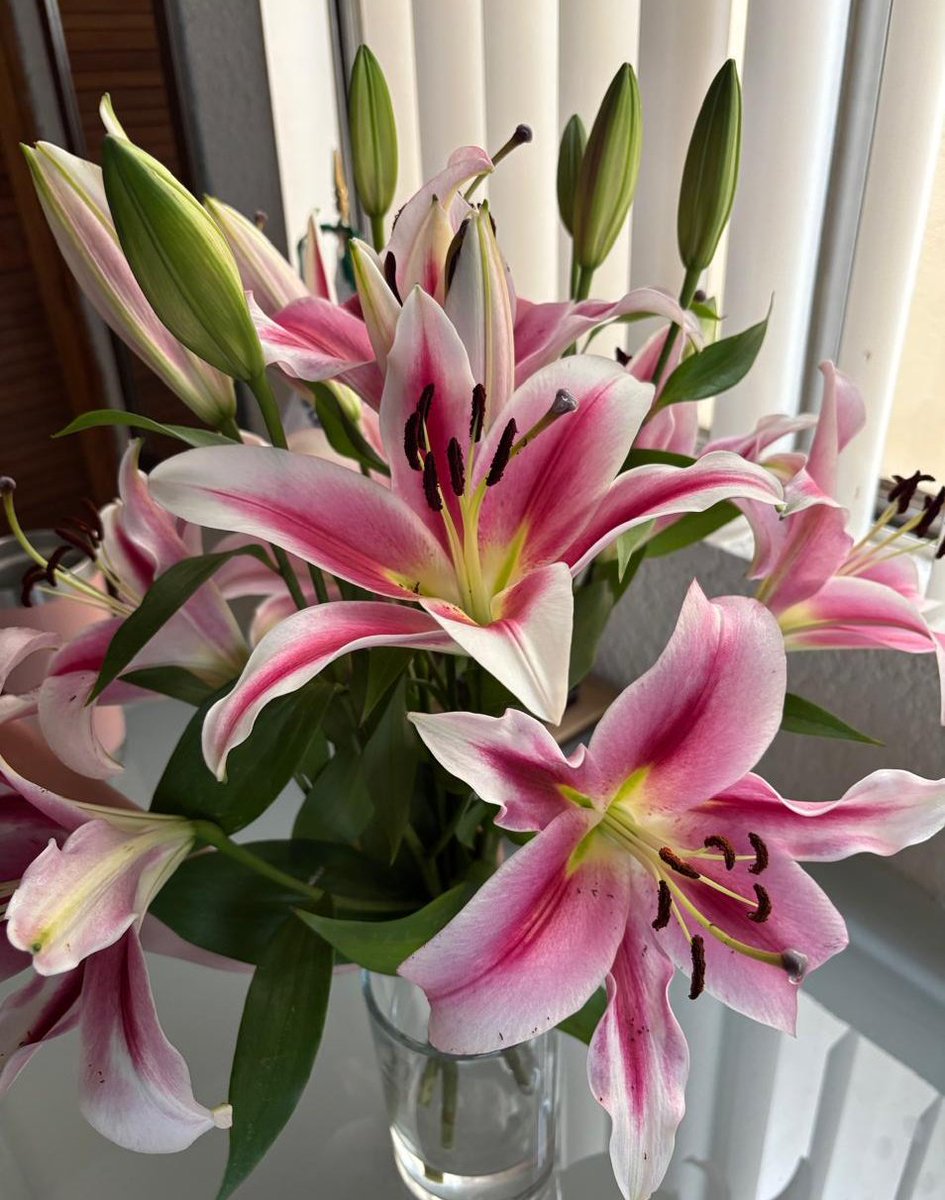 amo amo amo amo comprar flores !! <3