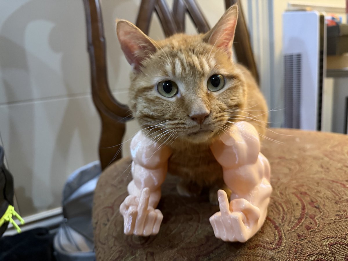 Zeus_2000_'s tweet photo. https://t.co/N0on1iENT9