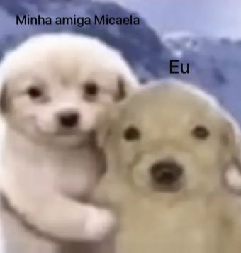 micaela tweet media