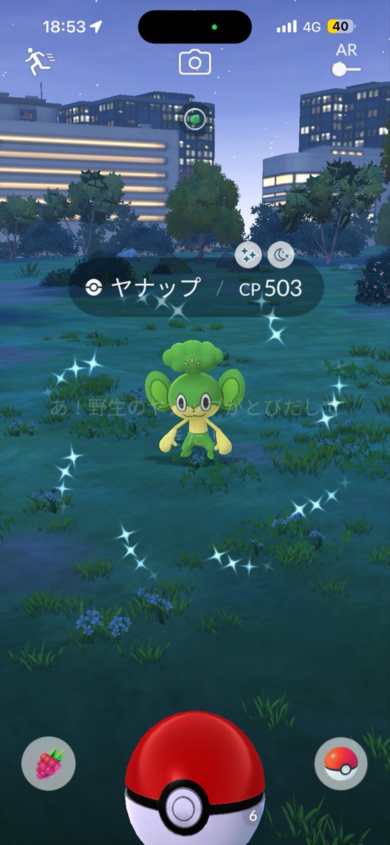 sore_narini's tweet photo. 沼ってた子たちが２匹も来てくれて
昨日は良い日でした☺️ https://t.co/uMDUGYqALe