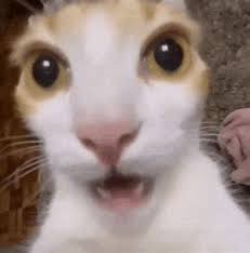 Los escritores de The Boys viendo cómo cualquier intento de sátira será superado por la realidad de ser gobernados por Trump: