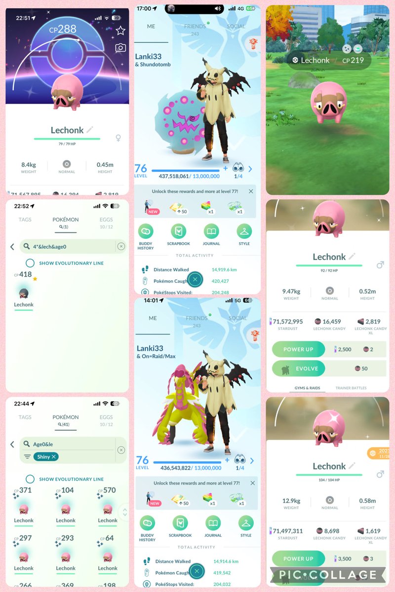 lanki33's tweet photo. Lechonk C-Day🐷

5 km walked🏃‍♂️
862 caught🫡 
41 Shiny✨ 2 w/ background 
1 Hundo💯
SR/WB✅

Has been sunny the whole week
Then on the C-Day it decides to rain like crazy 😅
Can’t say it was motivational💀

Looking forward to Gofest🤩
#PokemonGo #Lechonk https://t.co/o7GA7pQIxk