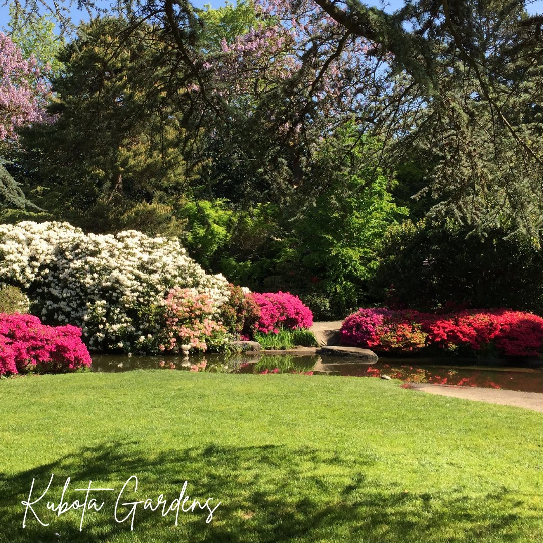 Seattle Parks tweet media