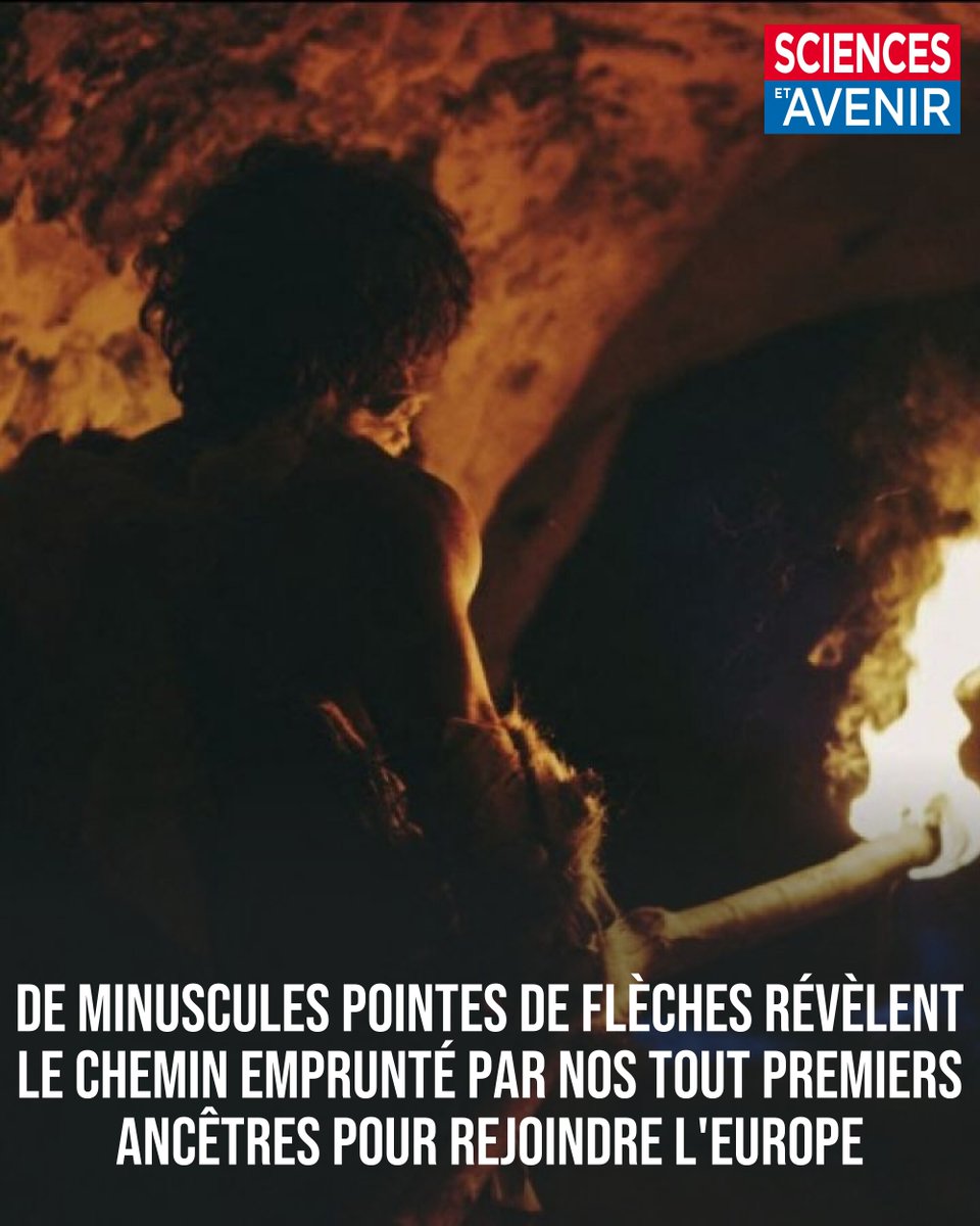 Sciences et Avenir tweet media