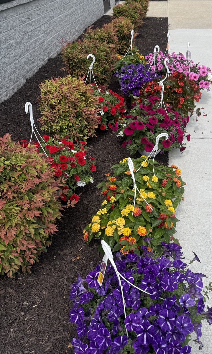 Clarks ACE Hardware-Ellicott City tweet media