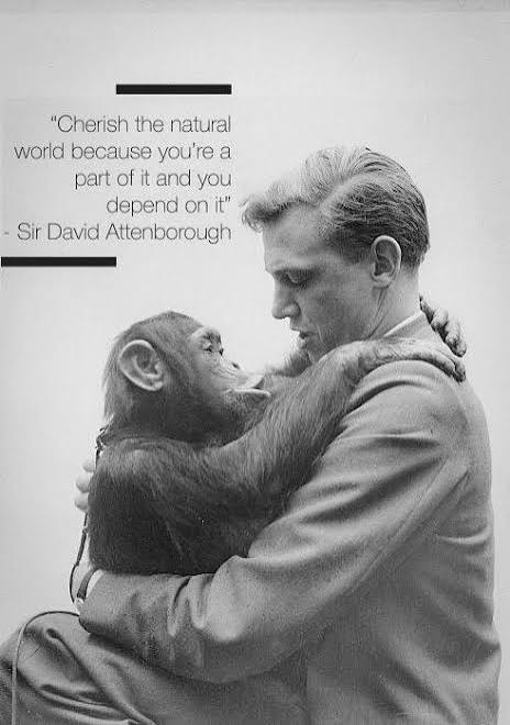 TotallyLocal_LB's tweet photo. Happy Birthday Sir David Attenborough who is 100 years old (and one day) after reaching that significant milestone yesterday🥳.
In Sir David's own words: “No one will protect what they don’t care about; and no one will care about what they have never experienced.” 🌱 https://t.co/q9ryMD4Ci2