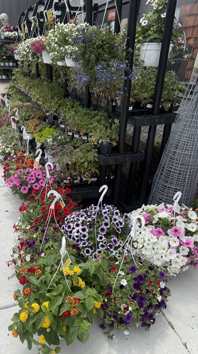 Clarks ACE Hardware-Ellicott City tweet media