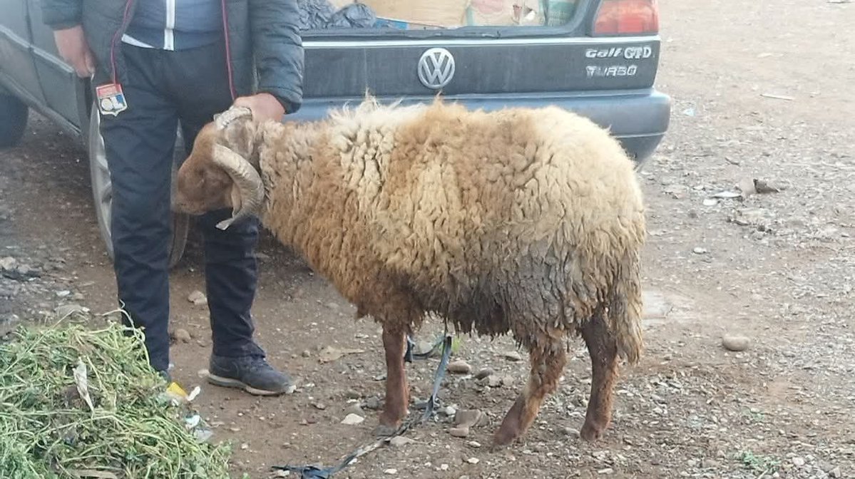 لَمْدَوَّخْ 𓂆 🇲🇦 tweet media