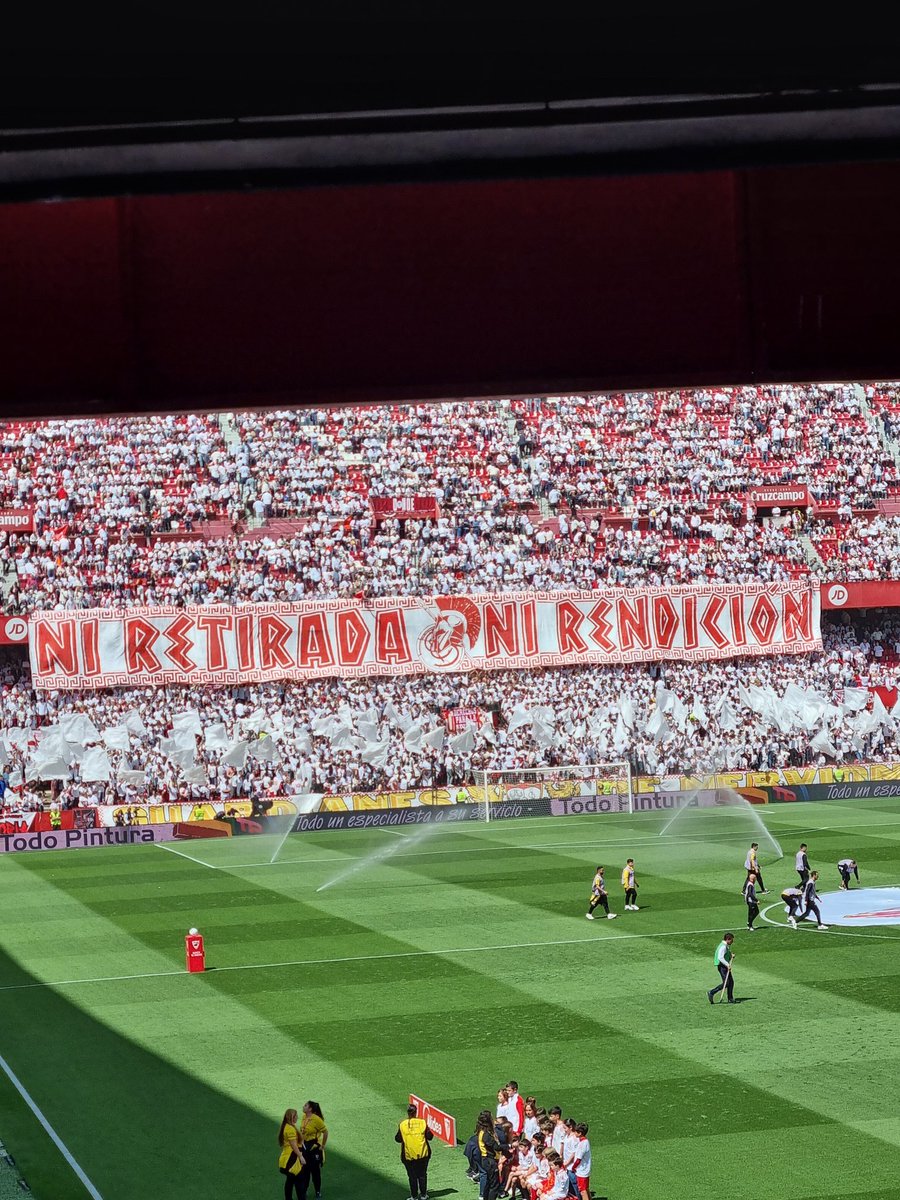 Alberto_oconner's tweet photo. No entiendo de fichajes, ni cesiones, ni arbitrajes, ni directivas. Yo sólo sé que un día mi tío me trajo aquí, y desde entonces no puedo parar de animar a este equipo por mucho que nos haga sufrir 🔴⚪️🔴SFC🔴⚪️🔴 https://t.co/g67d7CiyjQ