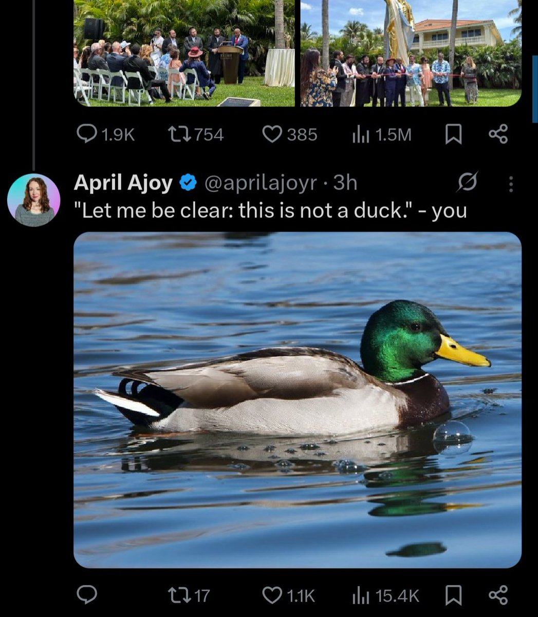 April Ajoy tweet media