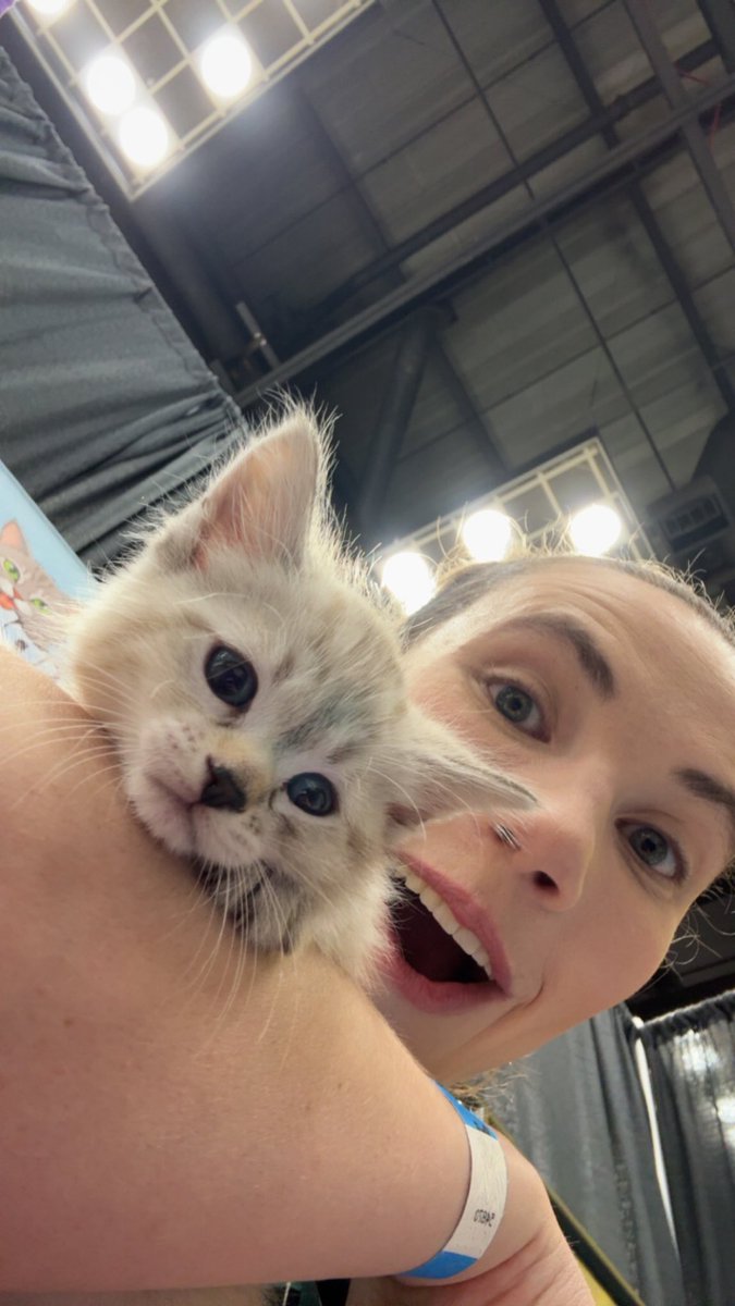 Meteorologist Katie Nickolaou tweet media