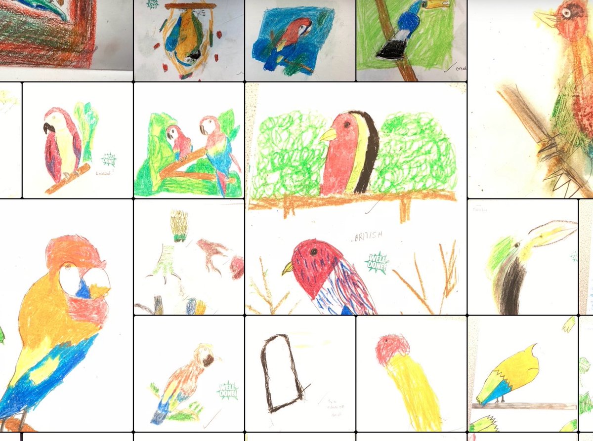 Anglesey Primary tweet media