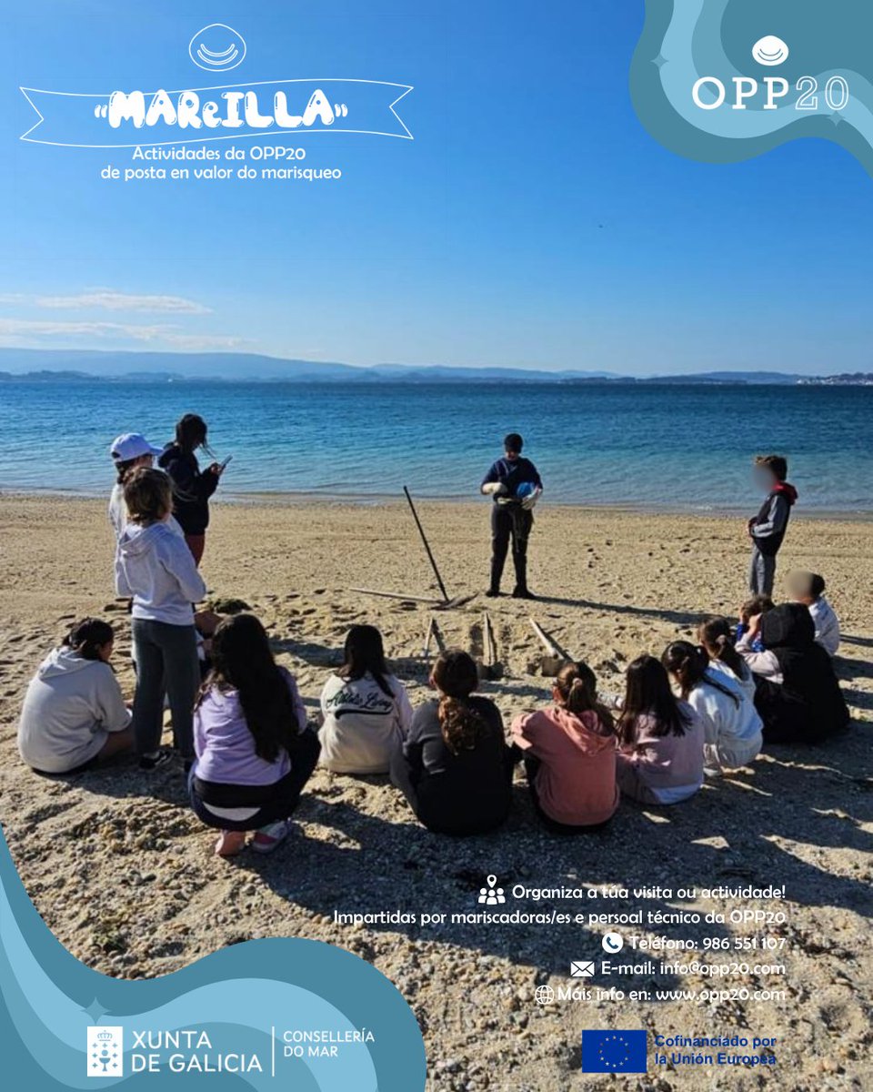 OPP20AIlla's tweet photo. 🌊🦪 |OPP20OFICIO

O xoves, 31 alumnos/as de 4º de primaria do CEIP Torre Illa participaron nas actividades a pé de praia da OPP20.

Aprendendo a coidar o mar desde a praia 💙

#OFICIO #Marisqueo #AIlladeArousa https://t.co/nMFpIuRJha