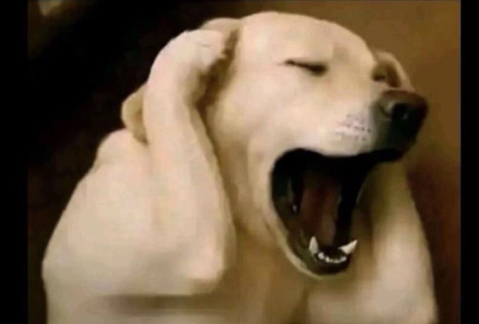 Ho Lee Sheet (ewé-ìwé mímọ́) tweet media