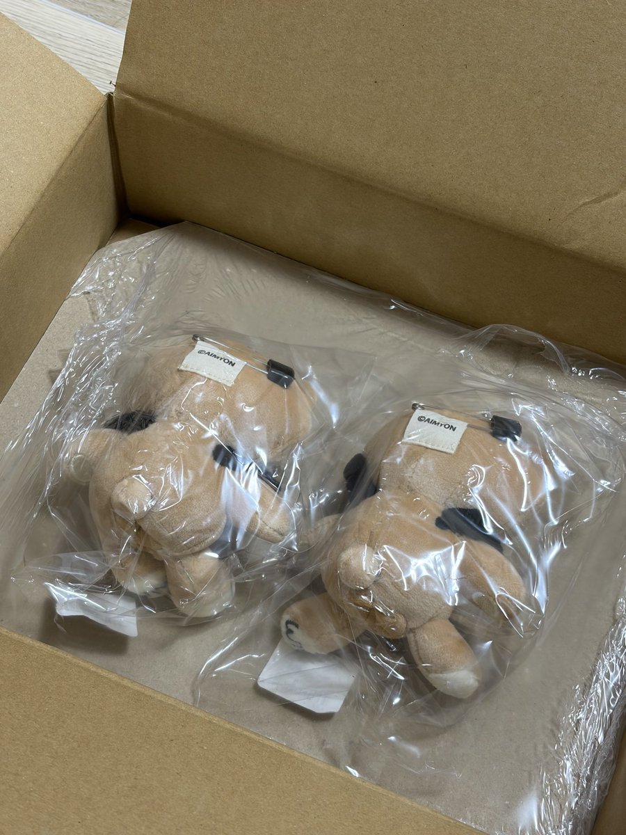 harumyon28's tweet photo. @aimyonGtter 

かわいこちゃんたちがうちにきたよ！🧸🤍🤍🤍 https://t.co/grVblzdaDk