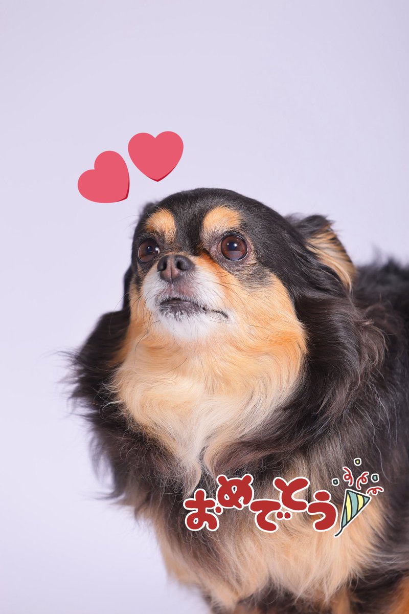ﾏﾅ🐶 (@mana__07) / Posts / X