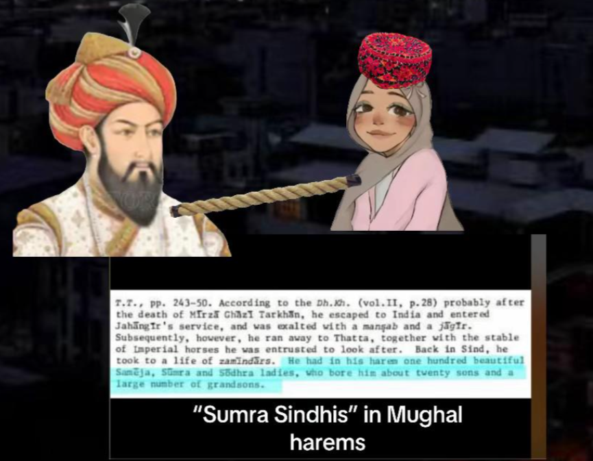ProtoPotatox's tweet photo. Its very shameful but my own great grandmother was in the Mughal harems. We Sindhis have a great and rich history in the Mughal empire and we should be proud. https://t.co/UmlIMaK9rj