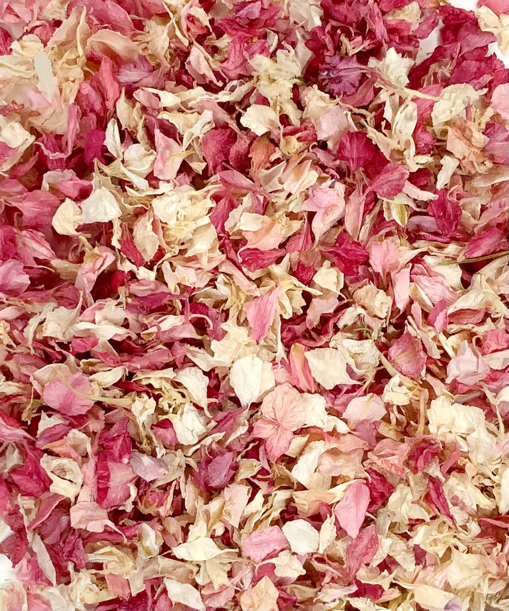 Prettypetals3's tweet photo. Say it with petals: Pretty In Pink biodegradable delphinium confetti in shades of pink &amp; ivory — perfect for wedding send-offs. https://t.co/cSk009HpM3 #WeddingConfetti #EcoWedding #PrettyPetals https://t.co/8oJ478EPLh