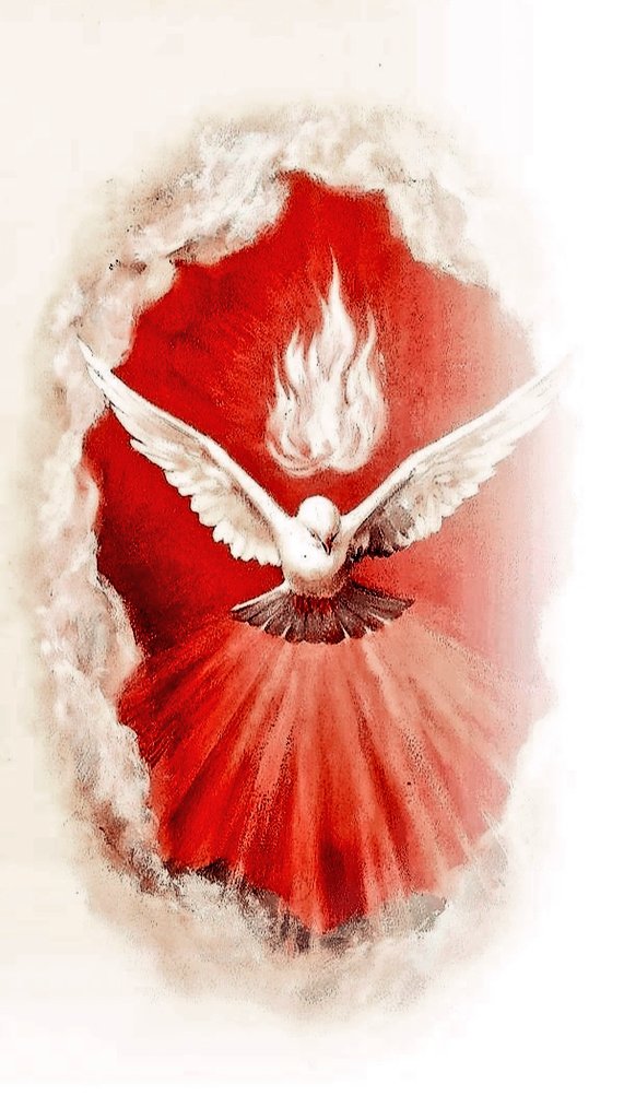 Scmtal's tweet photo. ⚪ VI DOMINGO DE PASCUA

«No os dejaré huérfanos, volveré a vosotros. Le pediré al Padre que os dé otro Paráclito, que esté siempre con vosotros, el Espíritu de la verdad».

Jn 14, 15-21 https://t.co/I4J5yFZSJk