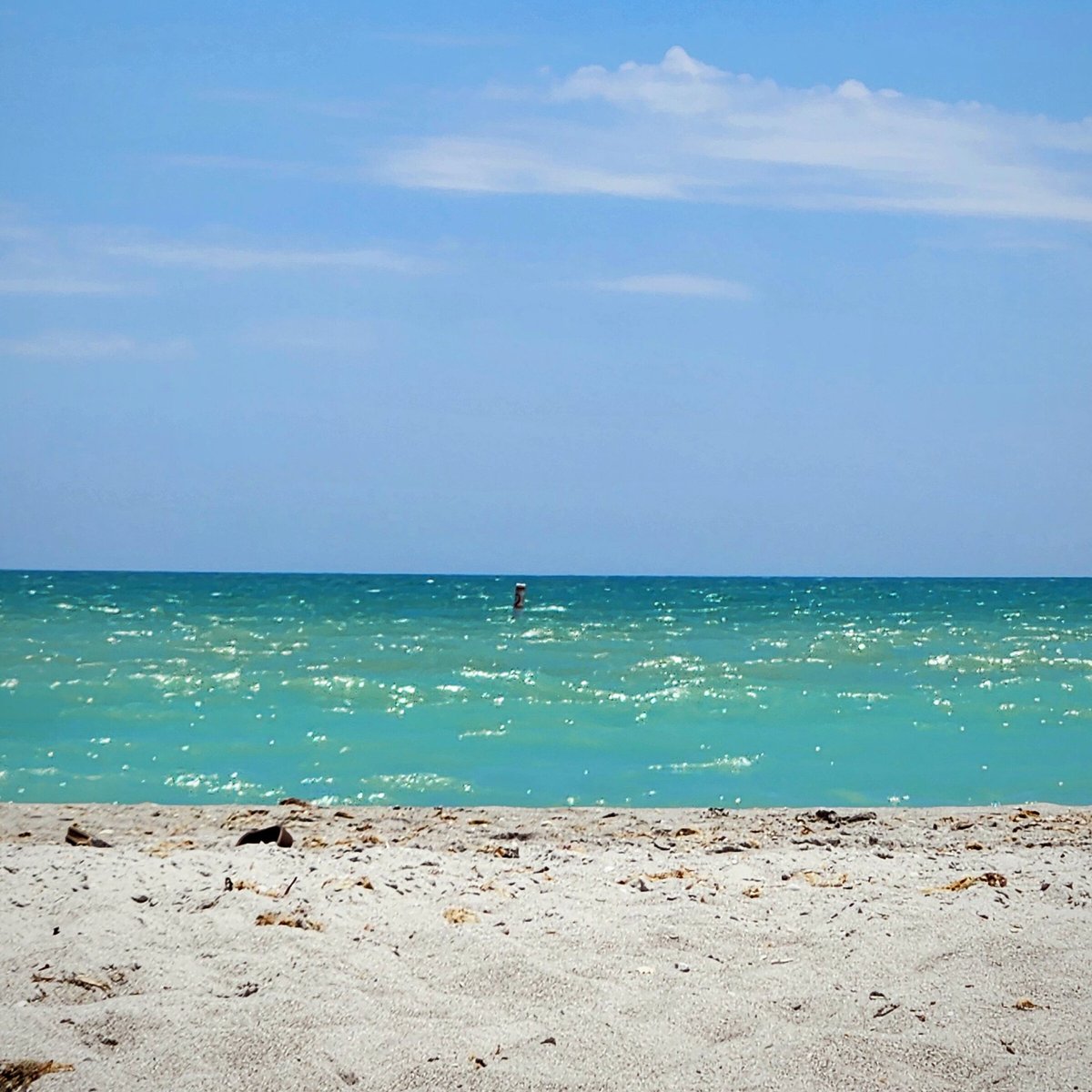 GeriPerna's tweet photo. Sanibel Island, FL....my happy place.. https://t.co/xfmqMG1l80