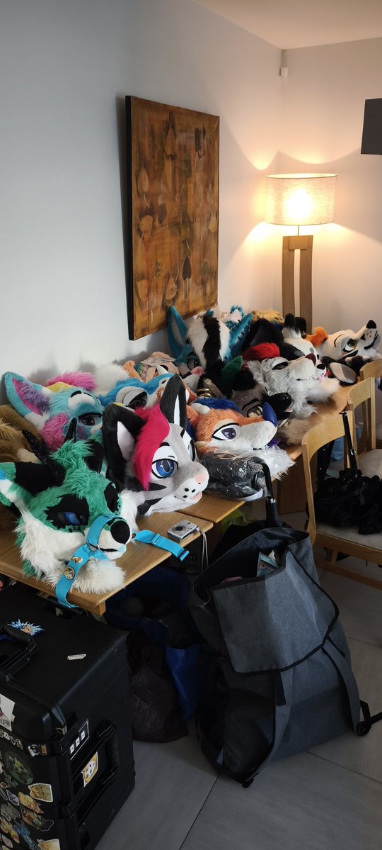 💙ColdTheFox 💙 🔜@Megaplex tweet media