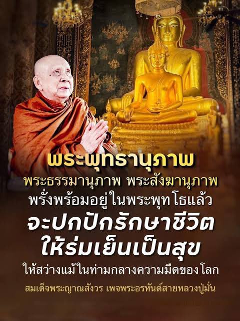 NinaandI tweet media