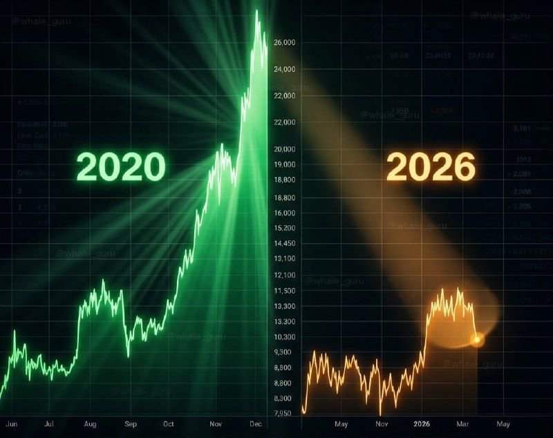 Whale Satoshi tweet media