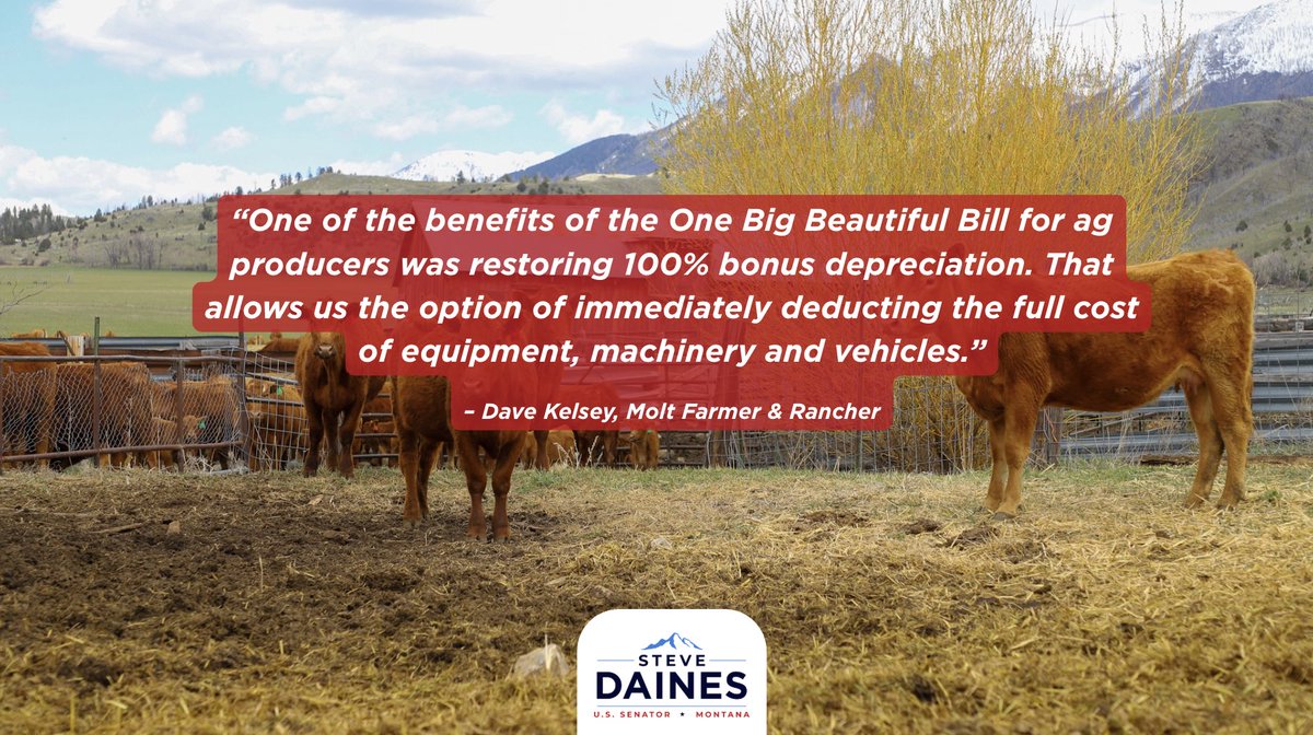 Steve Daines tweet media