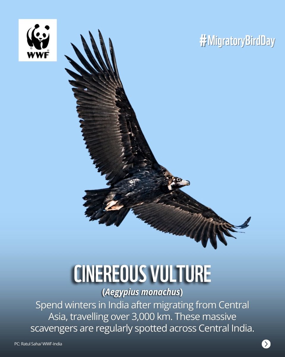 WWF-India tweet media