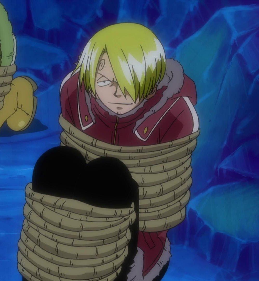 THIS IS JUST CANON SANJI 😭