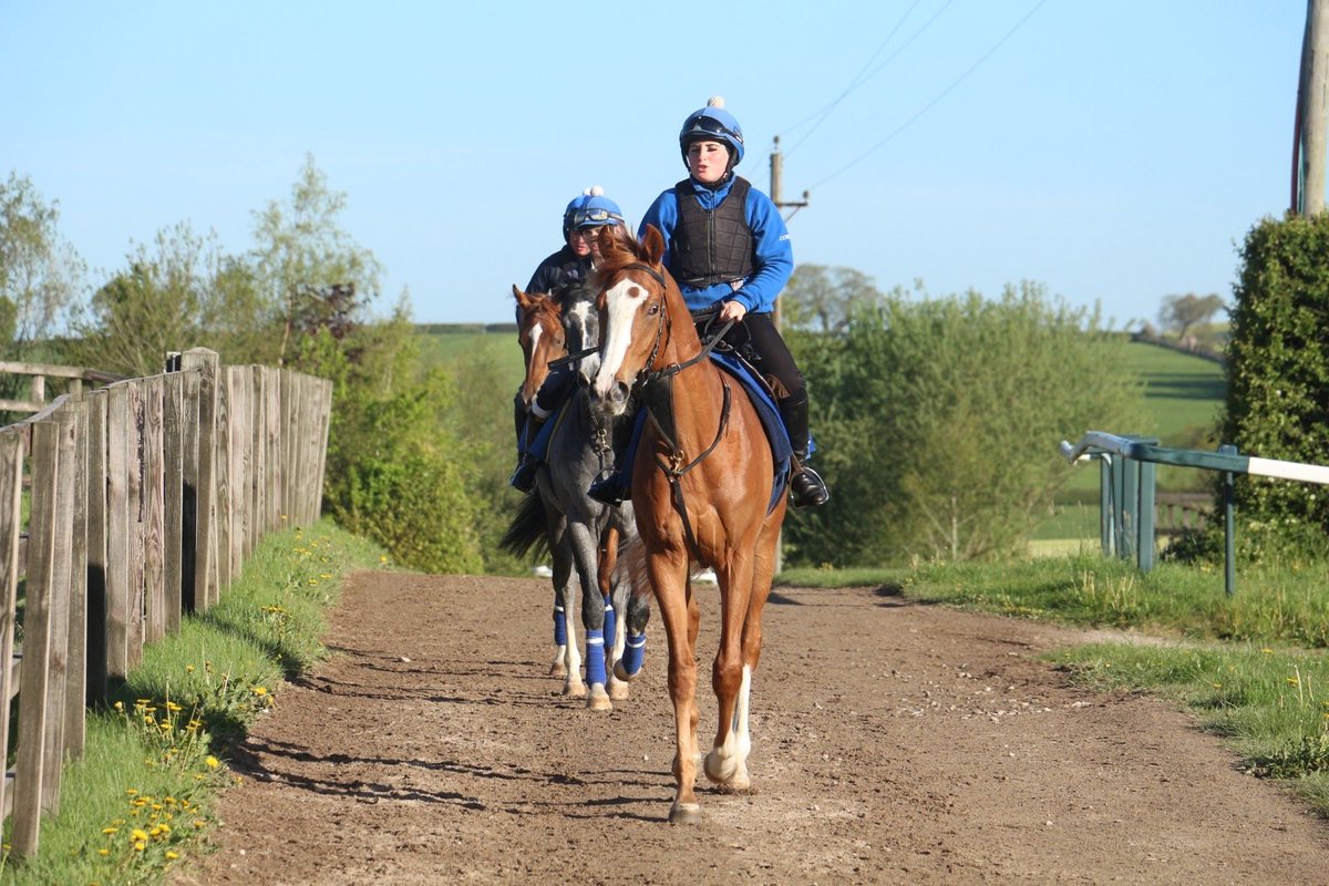 DevaRacing_'s tweet photo. 𝑪𝒐𝒏𝒇𝒆𝒓𝒏𝒂𝒕𝒊𝒐𝒏 moving beautifully on the gallops in the peaceful surroundings of Cheshire at Manor House Stables 🎥✨

#DevaRacing https://t.co/XleFtBWhmP