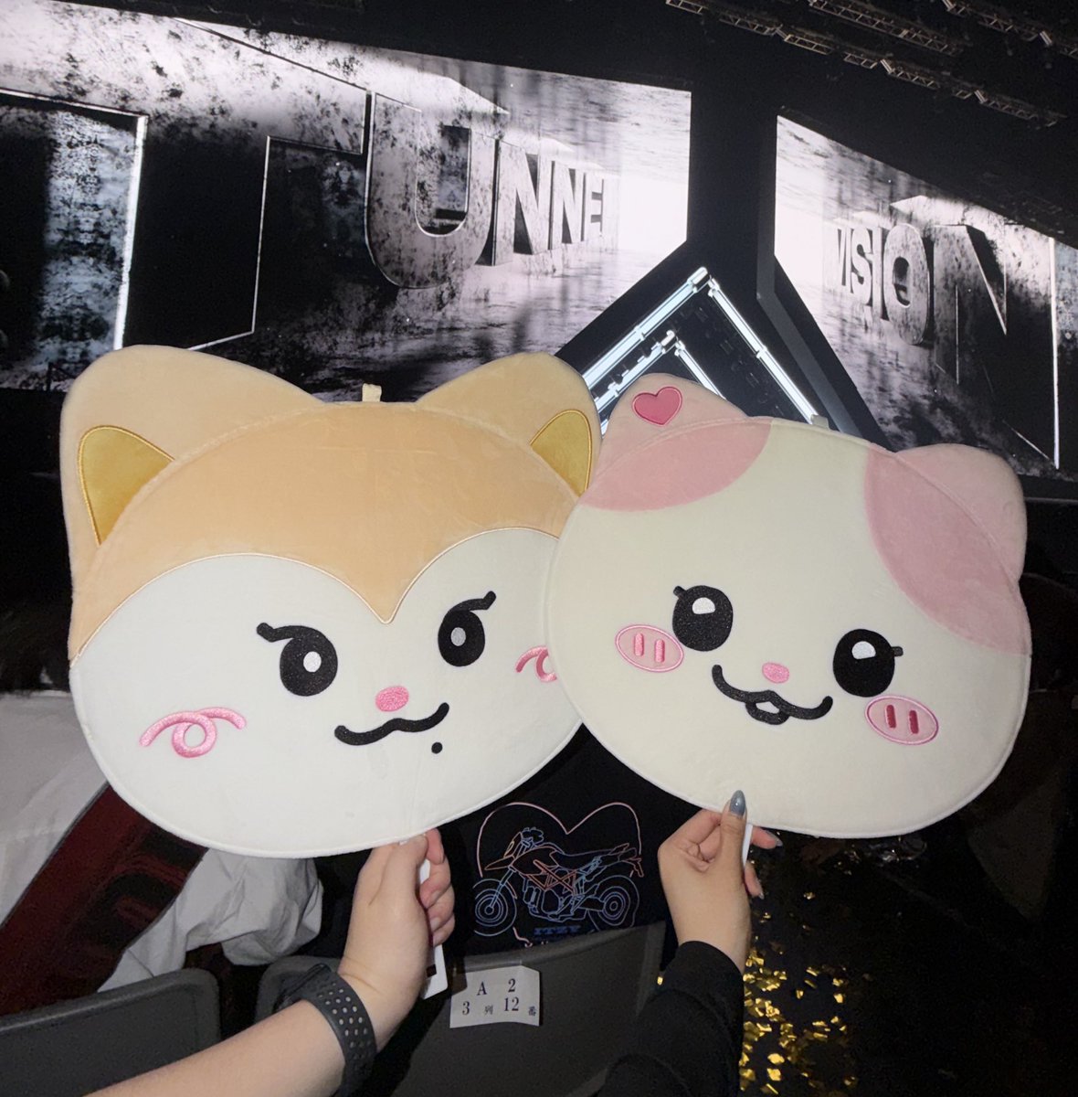 strawbunnyna's tweet photo. TUNNEL VISION in JAPAN DAY1 ฅ^. ˬ .^ฅⳊ🩵🩷 https://t.co/oCjBuhHOtw