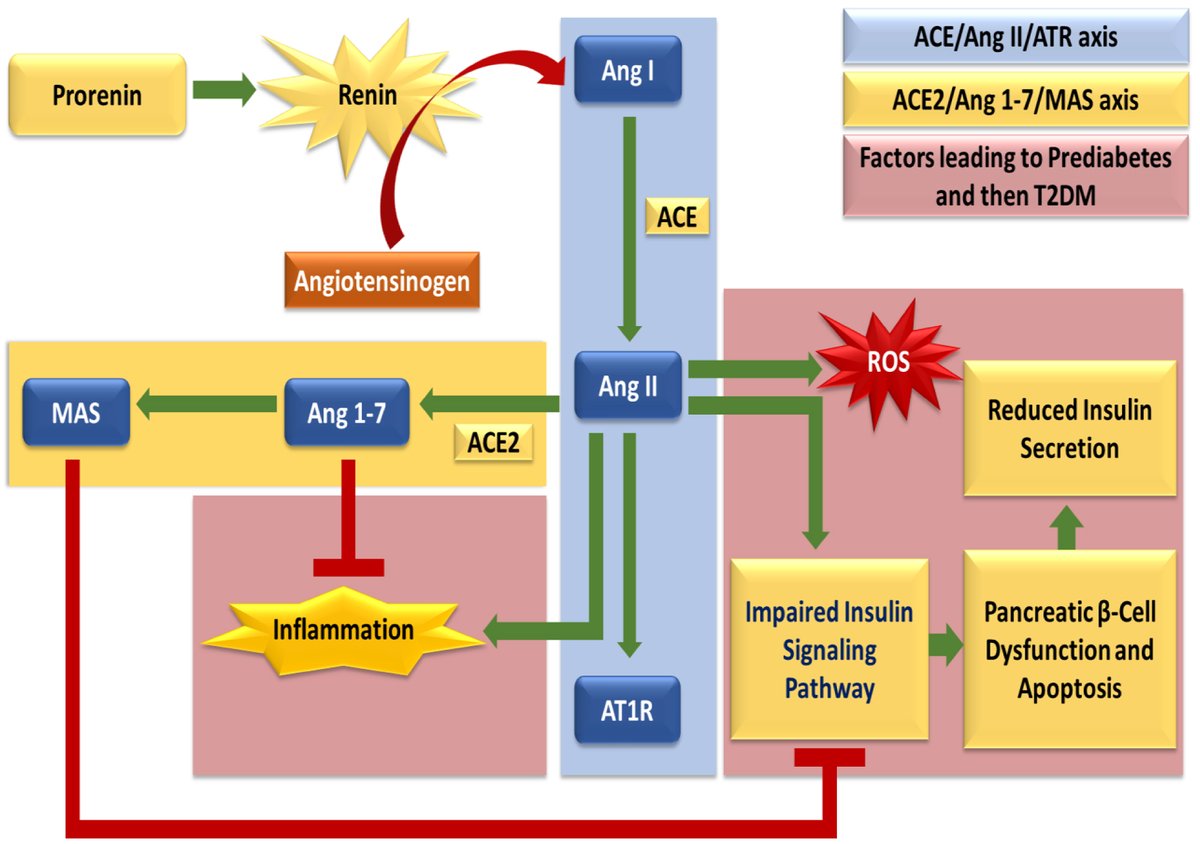 EndocrinMetab's tweet photo. Key Physiopathological Pathways and Emerging Therapeutic Strategies in Type 2 Diabetes Mellitus
https://t.co/uH5rYZagwE

#MedTwitter #Medicine #MedicalResearch #Endocrinology #ElmerPress https://t.co/yH8KbWjrKp