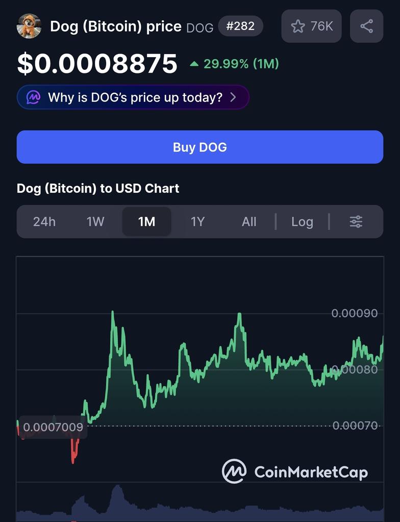 DogBrazil tweet media