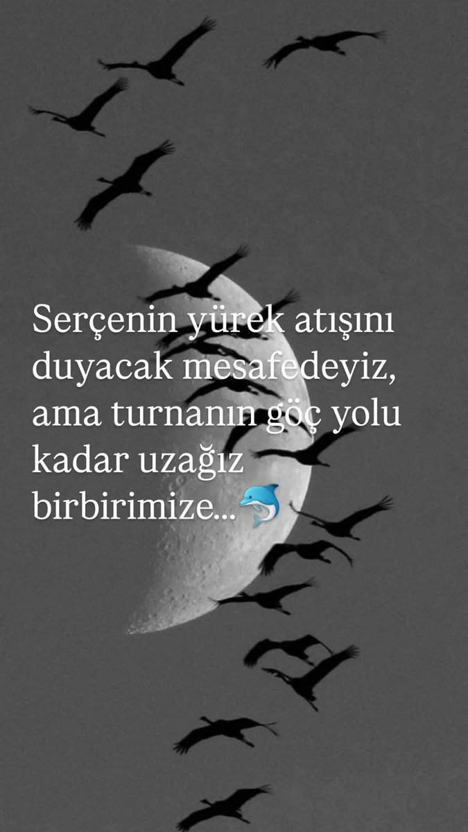 HapPy tweet media