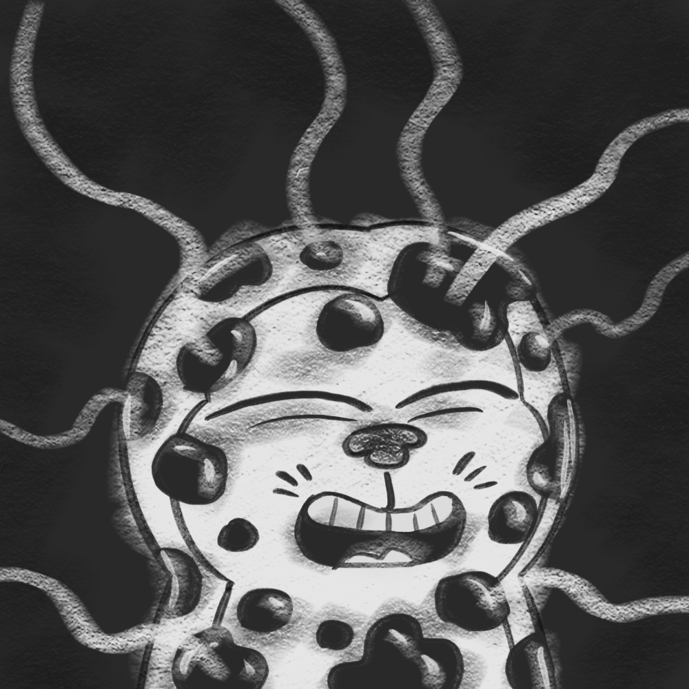 OCTO 🥷 tweet media