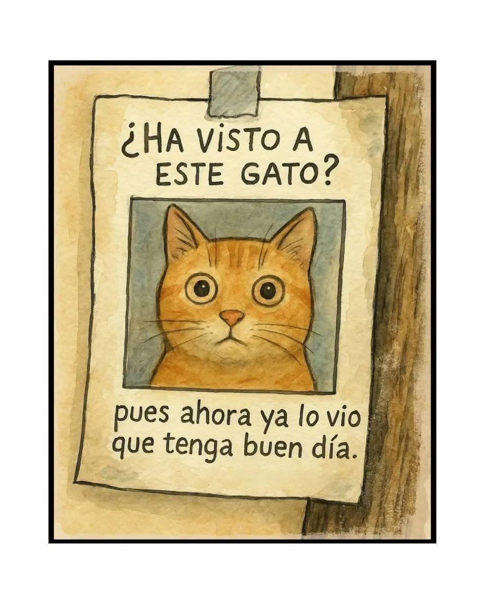 AMPARO tweet media